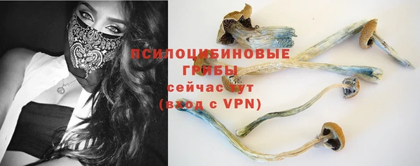 наркотики Бородино